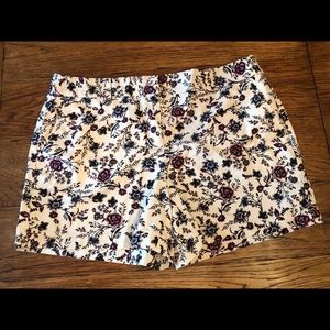 Ann Taylor Loft Shorts